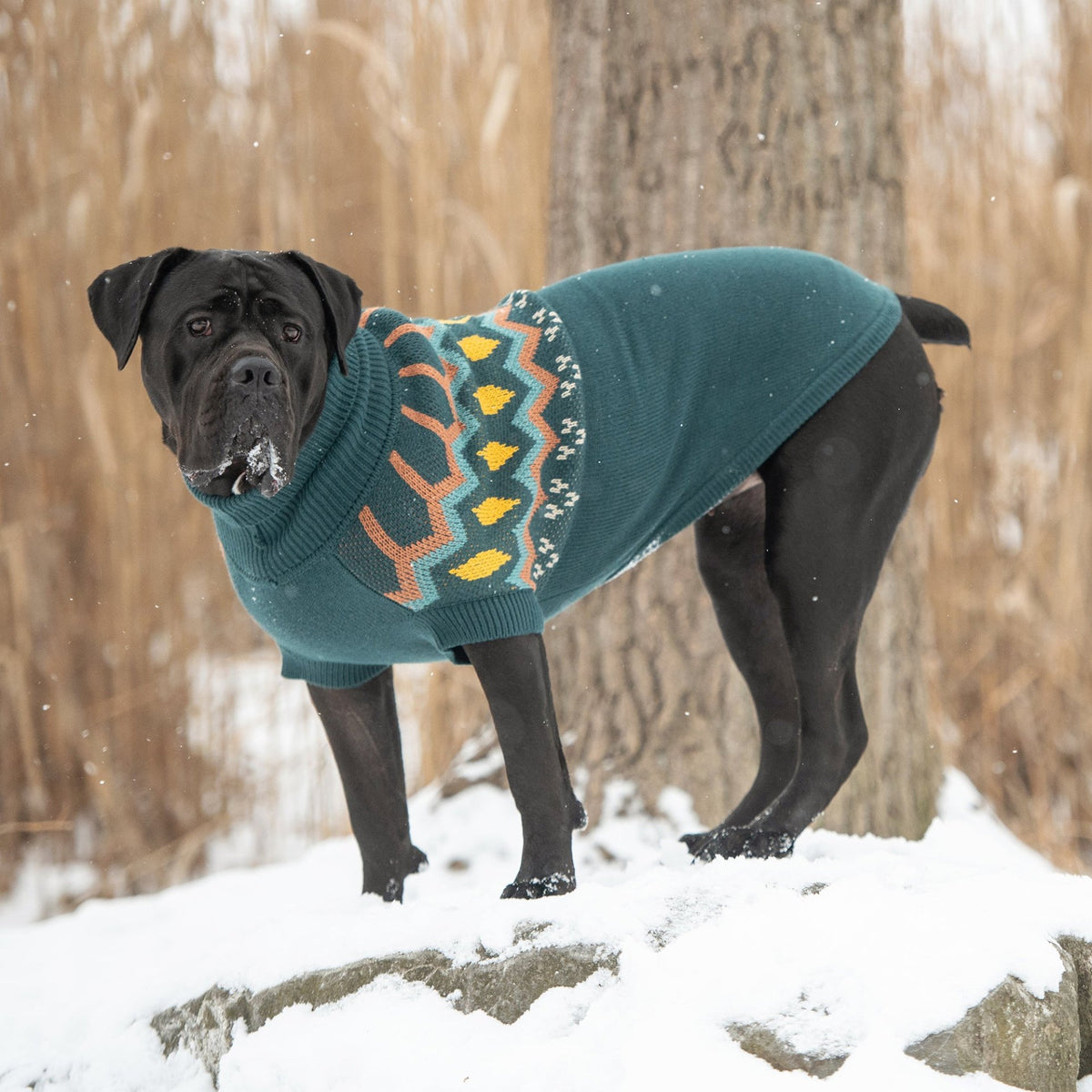 Heritage Sweater - Teal - Drakoi Marketplace