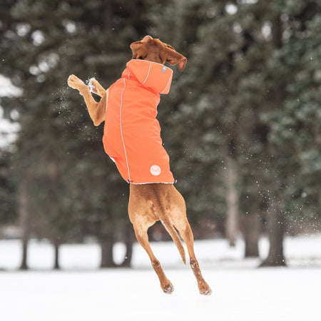 Insulated Raincoat - Orange - Drakoi Marketplace