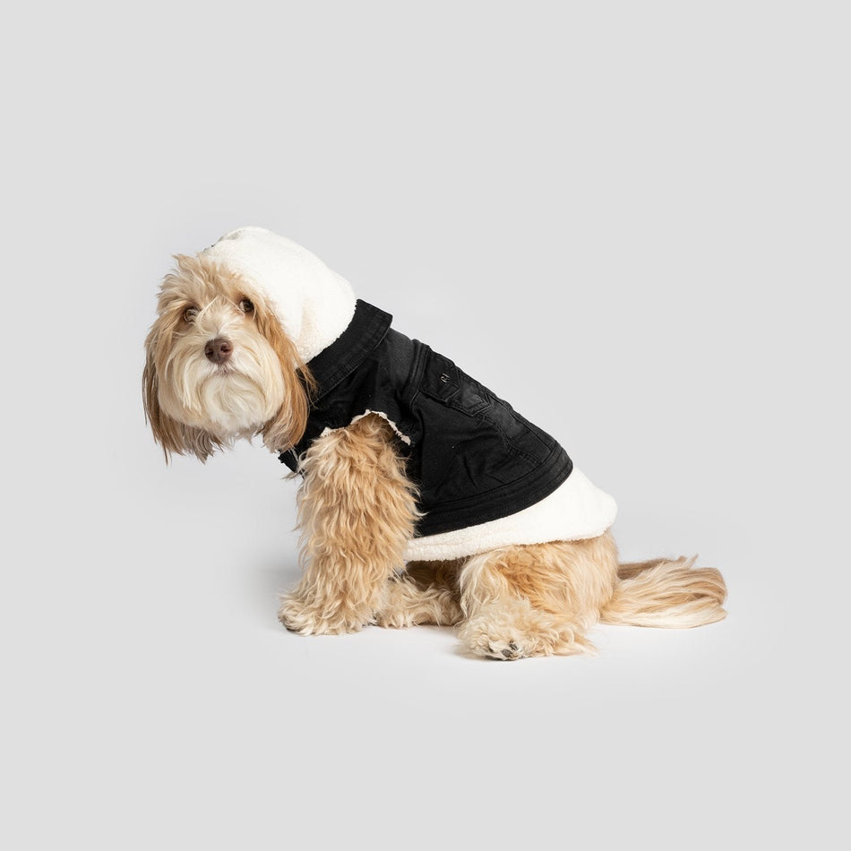 Justin - Denim Dog Jacket (Black) - Drakoi Marketplace