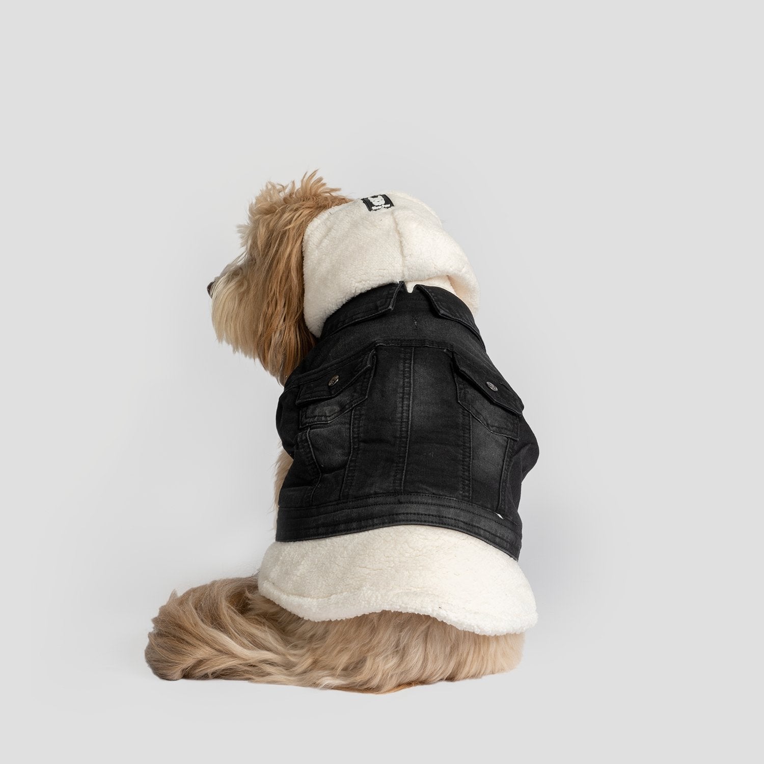 Justin - Denim Dog Jacket (Black) - Drakoi Marketplace