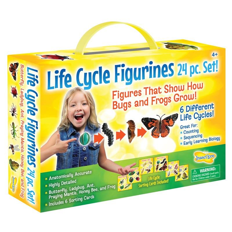 Life Cycle Figurines Set, 24 Pieces - Drakoi Marketplace