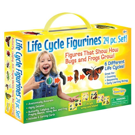 Life Cycle Figurines Set, 24 Pieces - Drakoi Marketplace