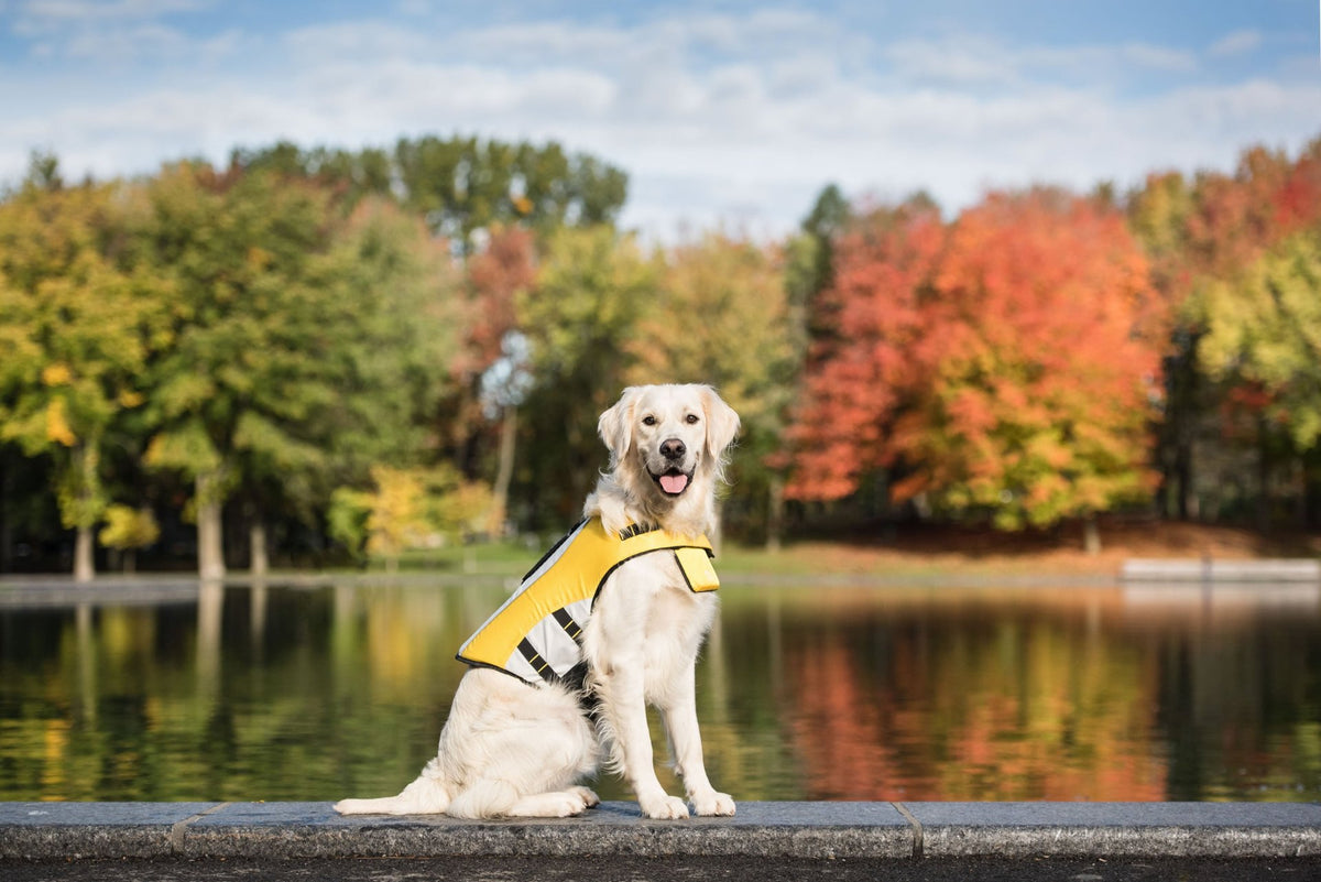 Life Vest - Dog Life Jacket - Drakoi Marketplace