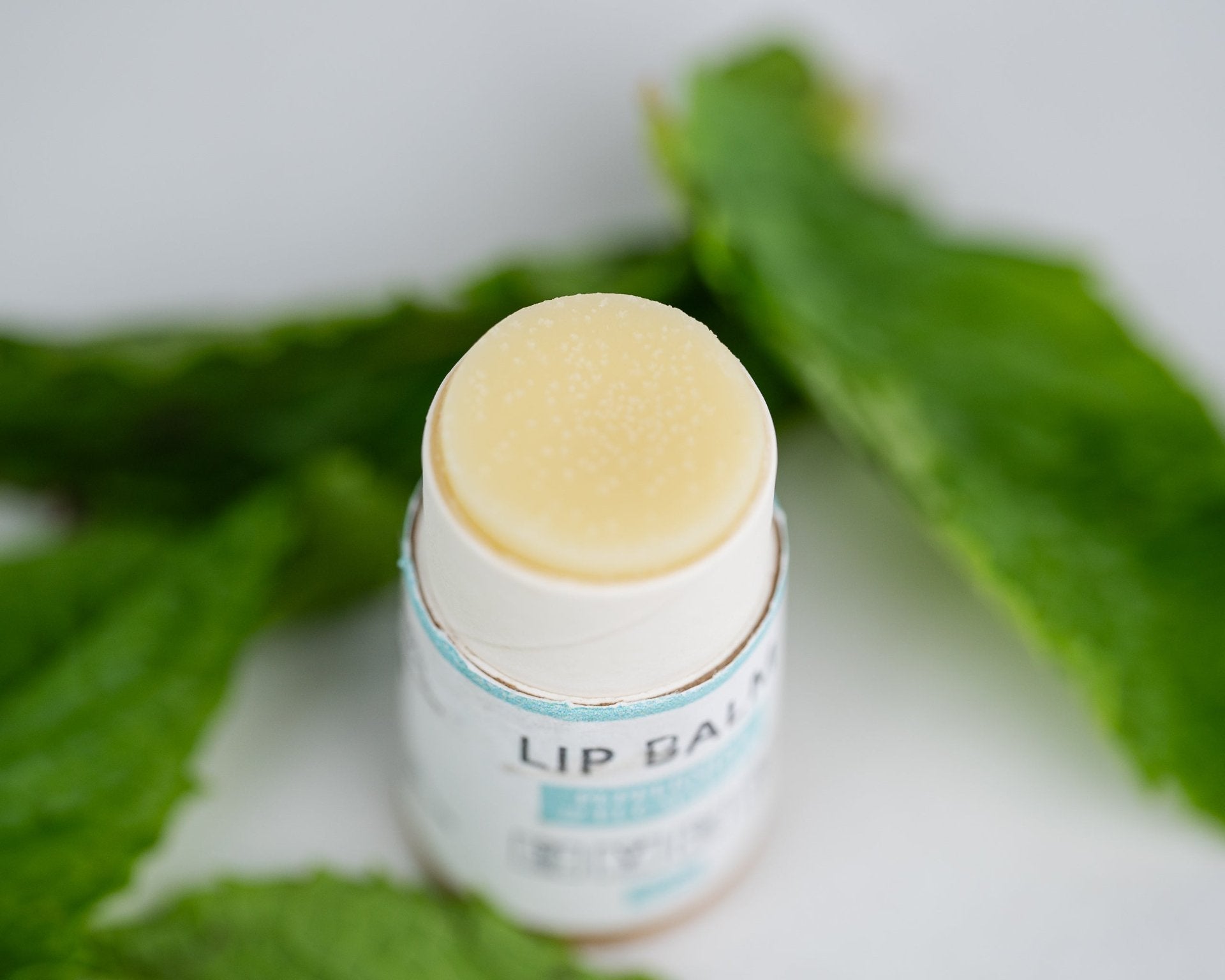 Lip Balm Bundle - Drakoi Marketplace