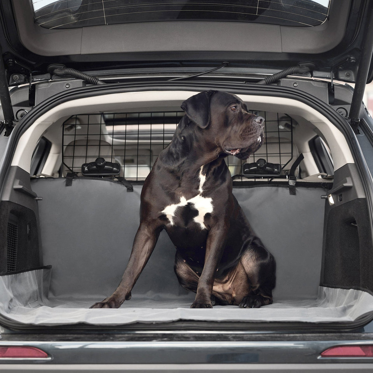 Pet Cargo Cover - Drakoi Marketplace