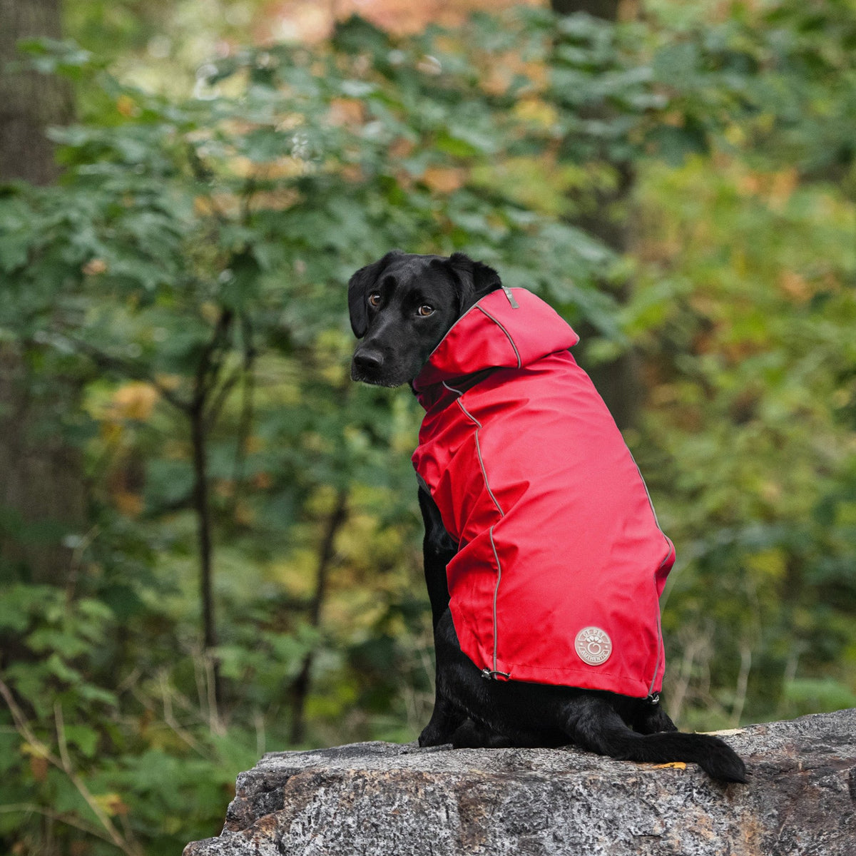 Reversible Elasto-Fit Raincoat - Red - Drakoi Marketplace