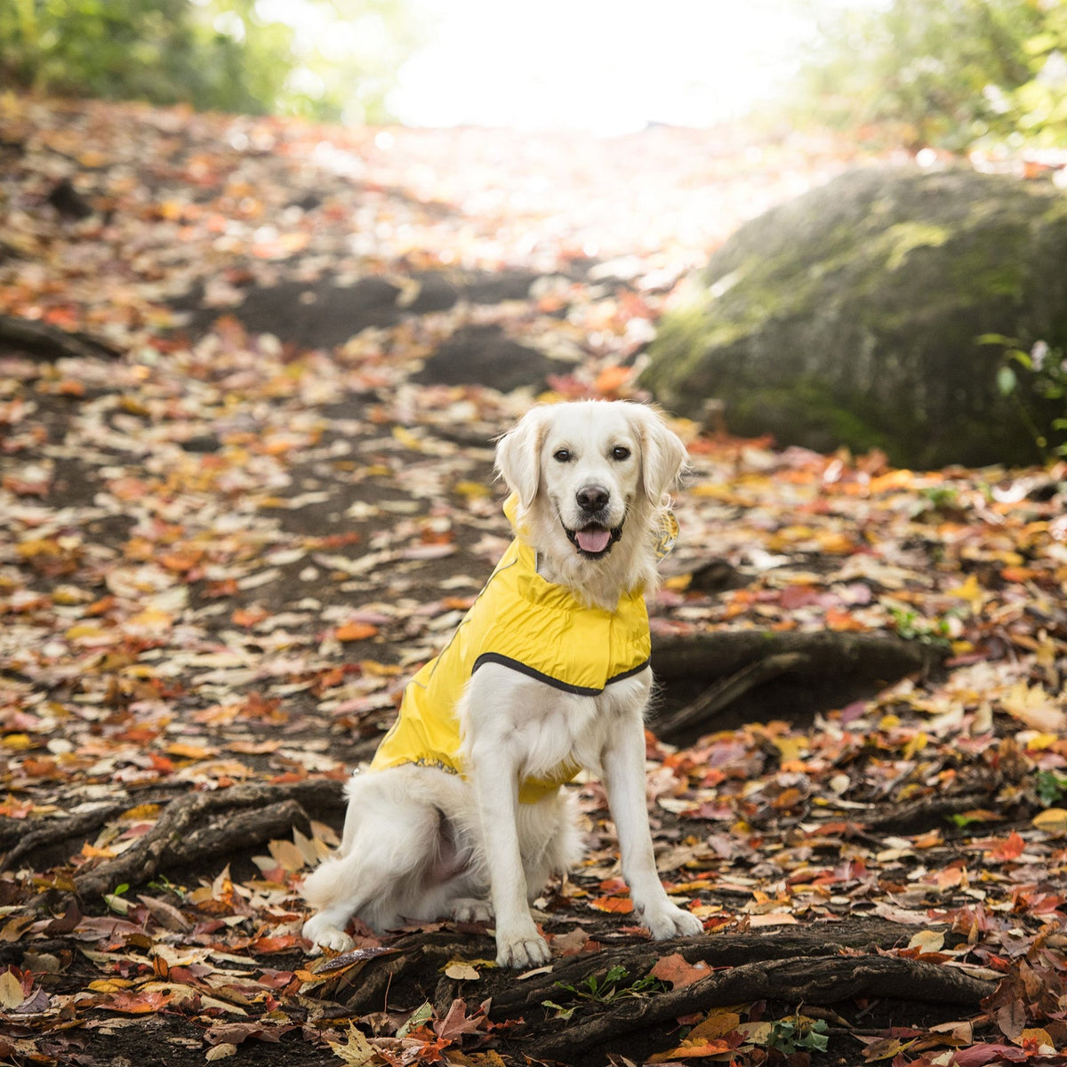 Reversible Elasto-Fit Raincoat - Yellow - Drakoi Marketplace