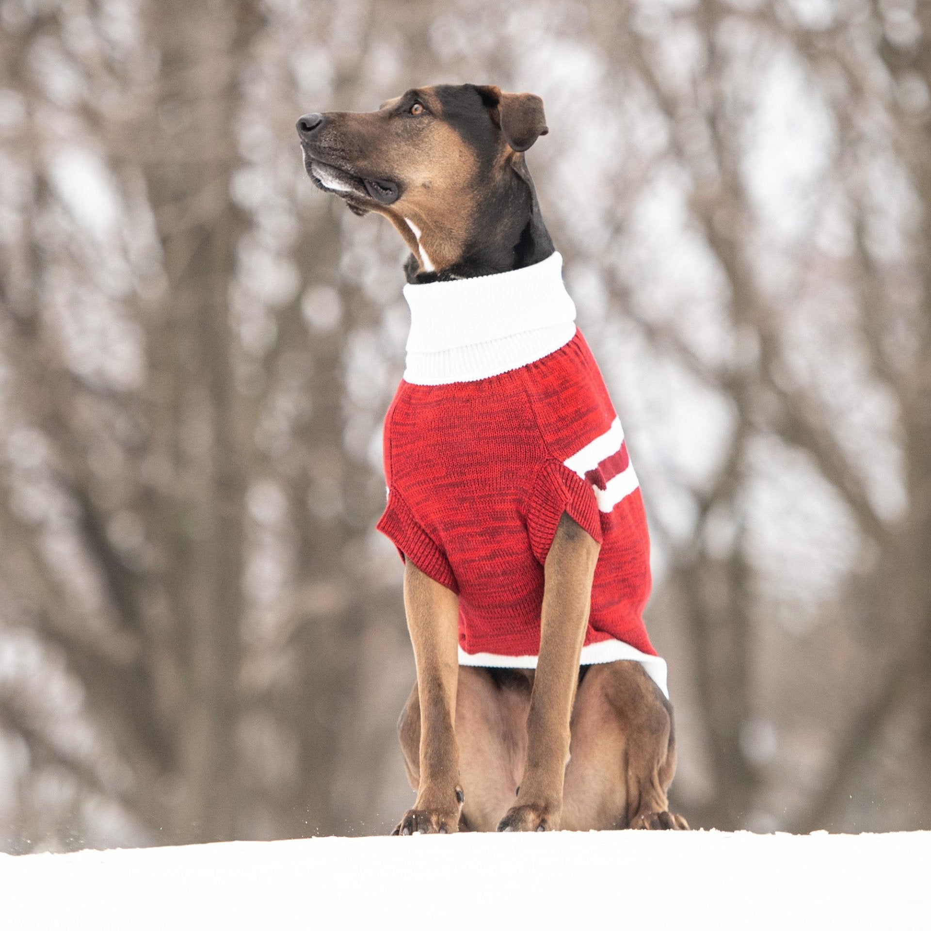 Trekking Sweater - Red - Drakoi Marketplace