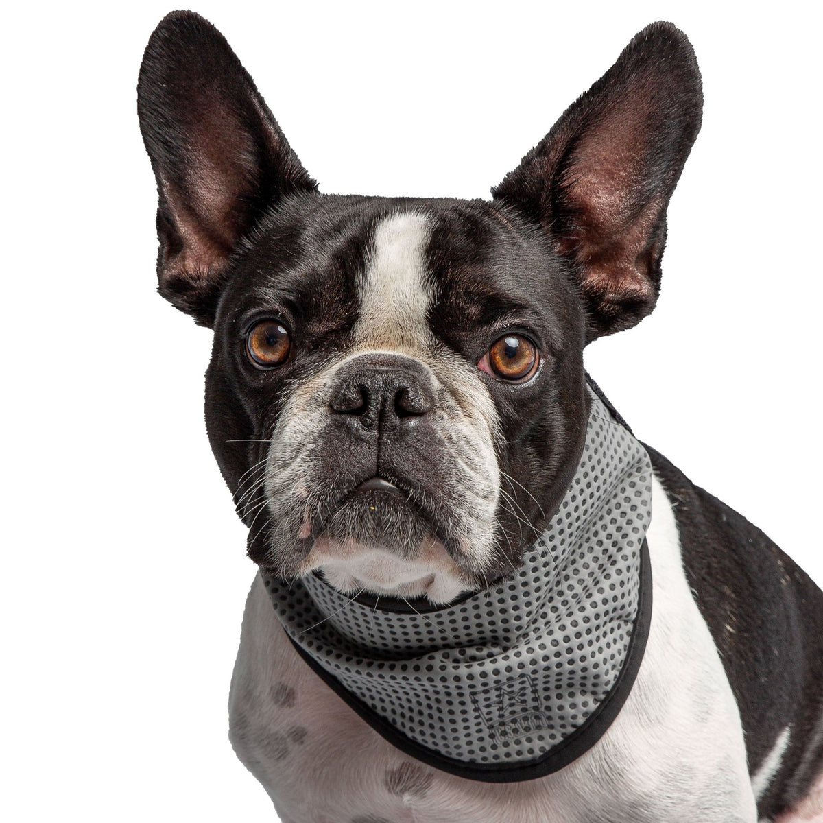 US Army Dog Cooling Bandana - Grey - Drakoi Marketplace