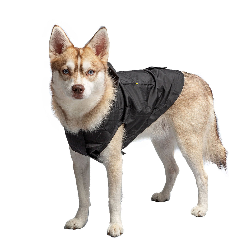 US Army Packable Dog Raincoat - Black - Drakoi Marketplace