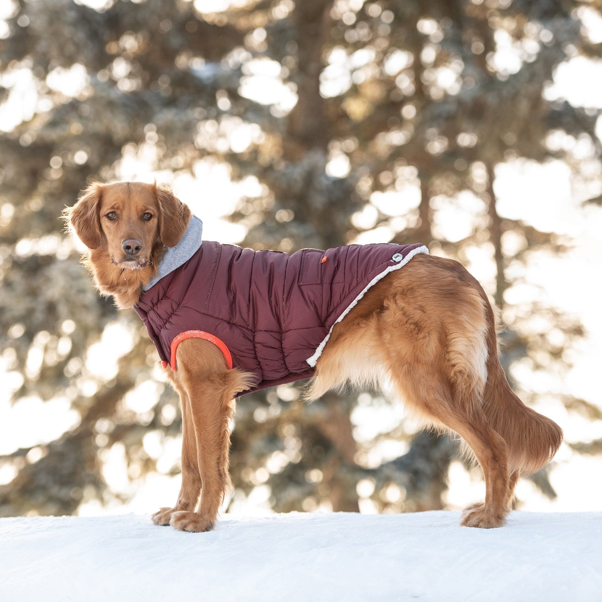 Winter Sailor Parka - Burgundy - Drakoi Marketplace